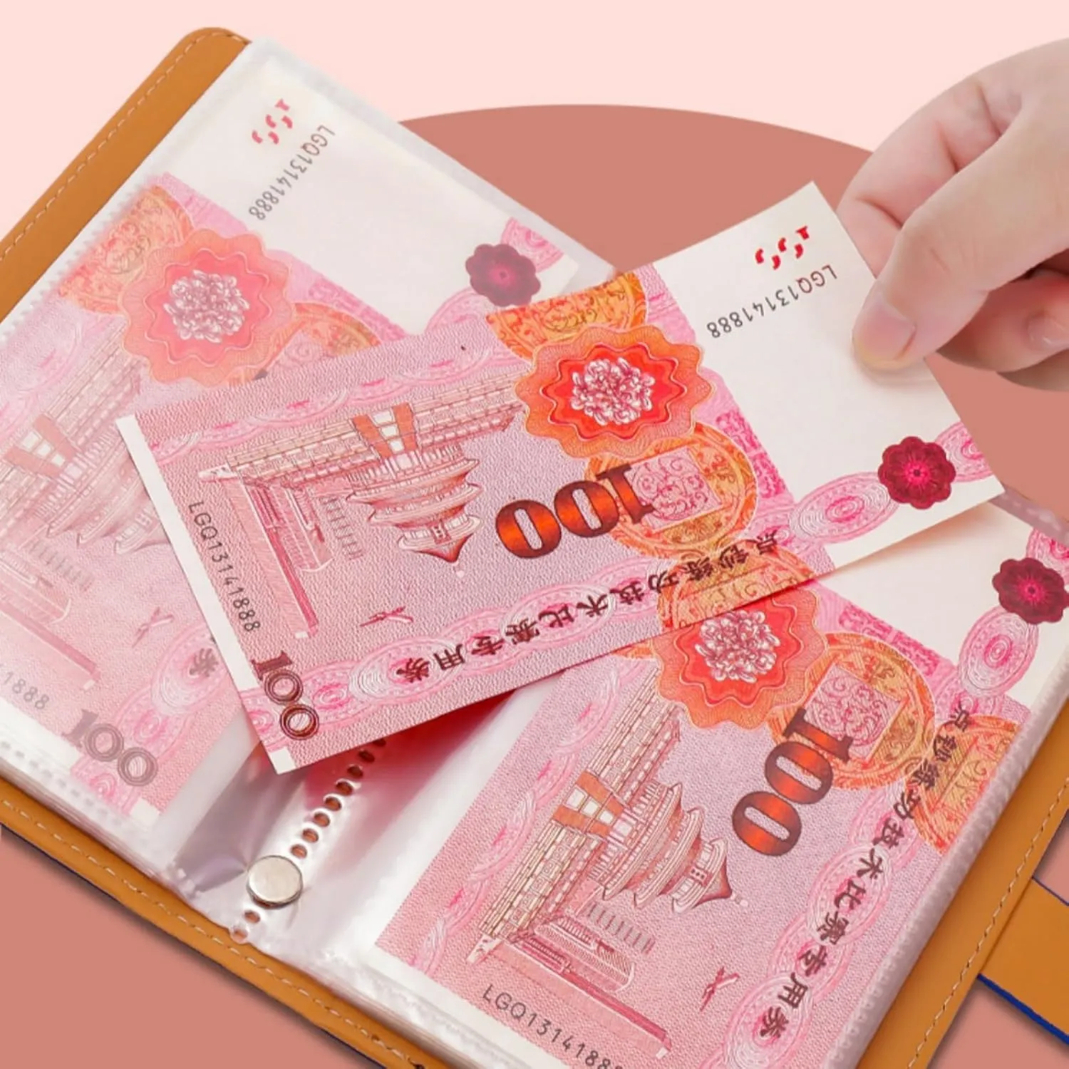 100 Envelope Challenge Binder,Savings Challenges Book with Envelopes,Envelopes Money Saving Challenge Savings Binder Successfully Reach Your Savings Goals (Pink B)