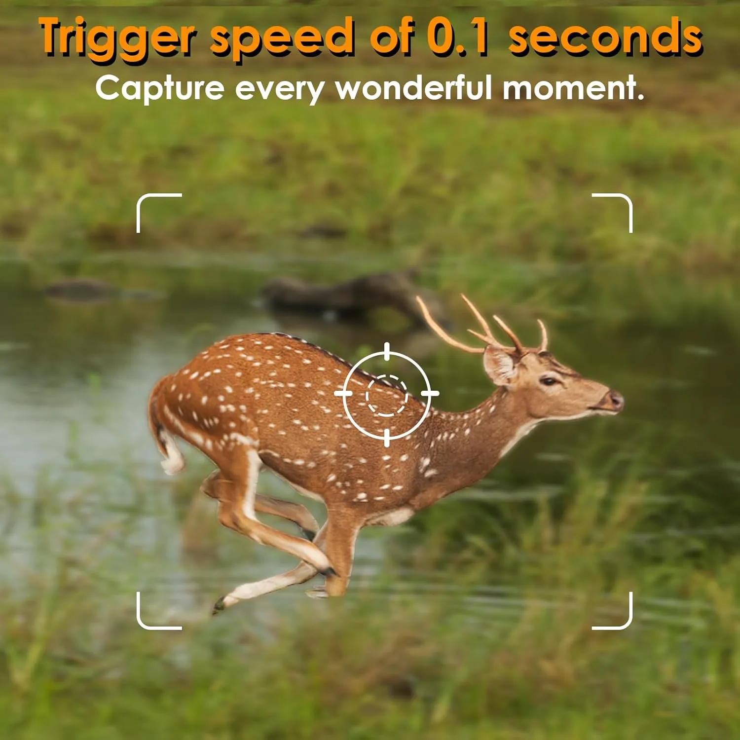 2-Pack 48MP 1296P Trail Cameras Night Vision No Glow H.264 Video Motion Activated 0.1S Trigger Time Waterproof for Outdoor Wildlife Hunting and Home Security Surveillance