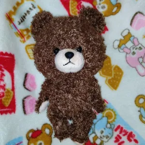6.Sekiguchi Bear School Plush 20cm The Bear's School