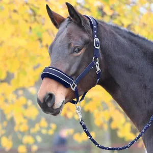 Busse Halter "Ideal"