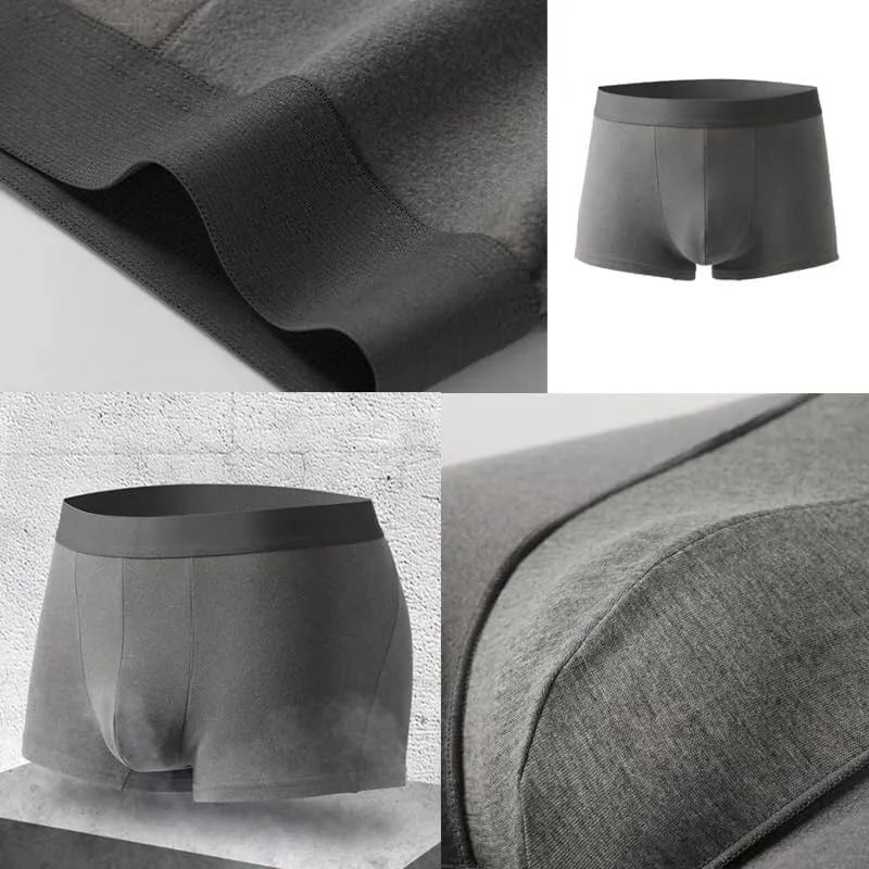 Fleece Lined Thermal Underwear for Men, Winter Underwear Boxer Briefs Soft Comfortable Thermal Compression Pants Men(3 pcs-a,Large)