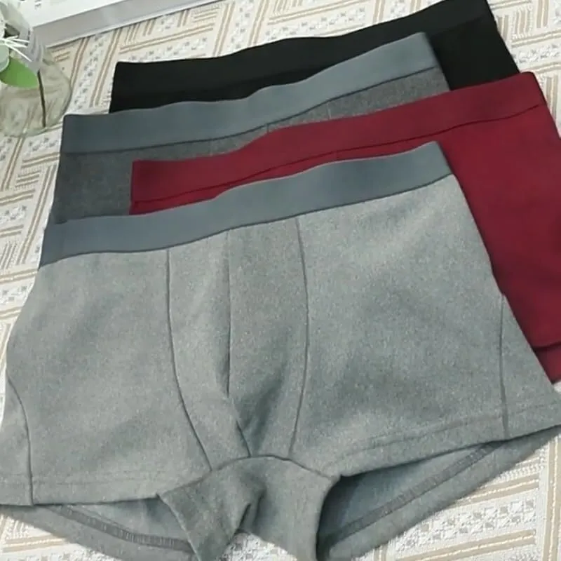 Fleece Lined Thermal Underwear for Men, Winter Underwear Boxer Briefs Soft Comfortable Thermal Compression Pants Men(3 pcs-a,Large)