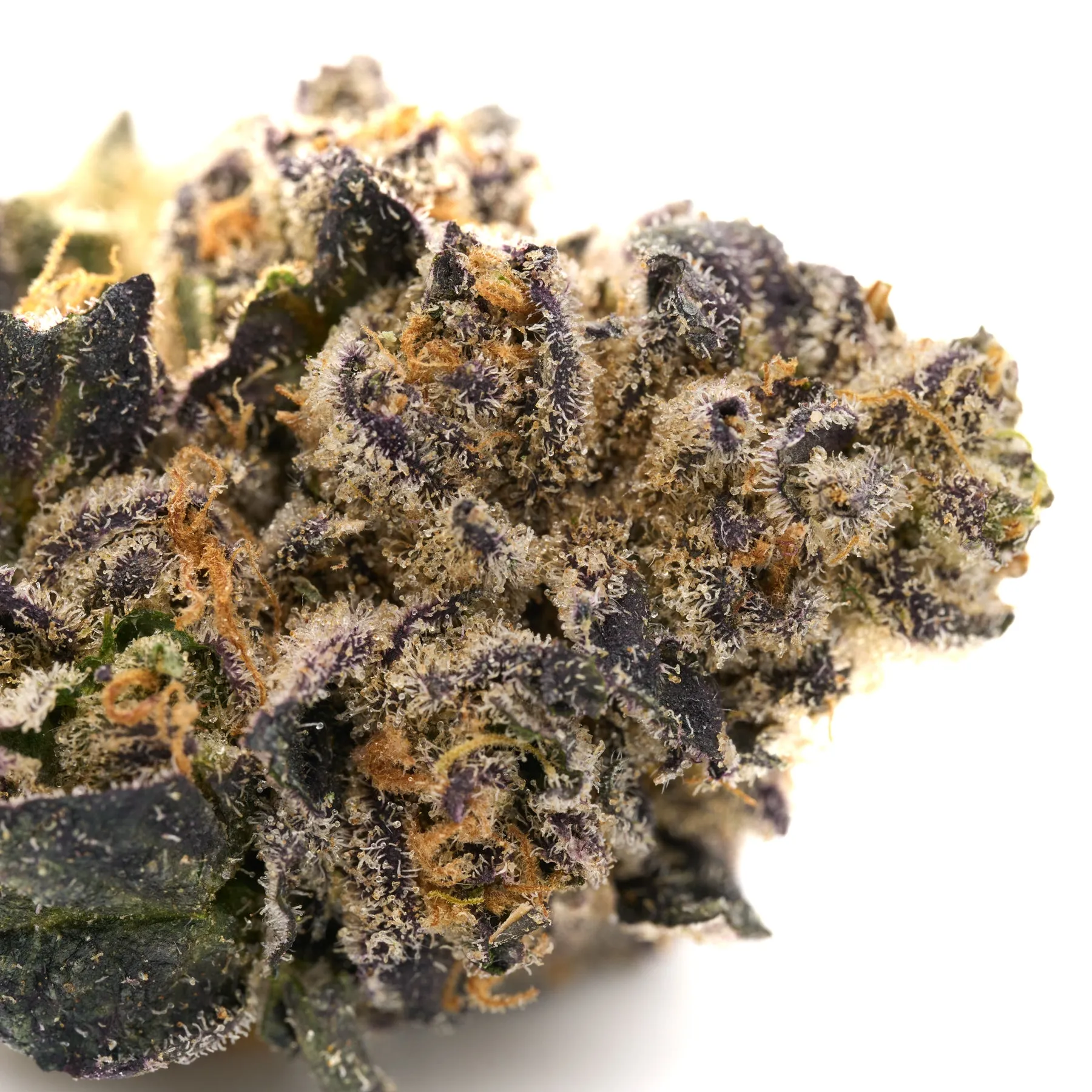 Graffiti Mintz Indoor THCa Flower