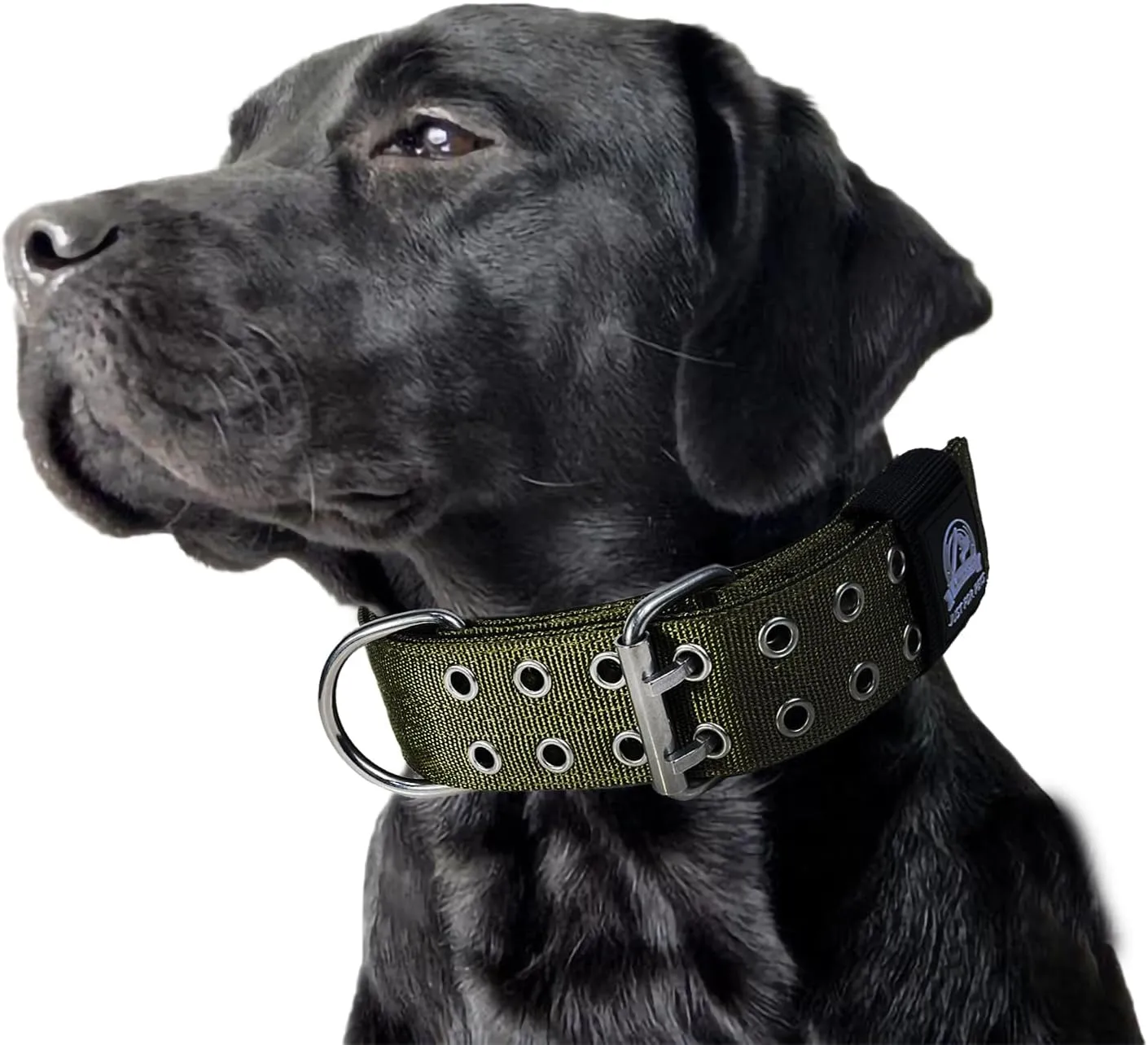 Heavy Duty Dog Collar for Large Dogs, Tactical Military Training Dog Collar for Extra Large Breeds,Strong and Durable ，German Sherd Pitbull (21IN-27IN, Black)