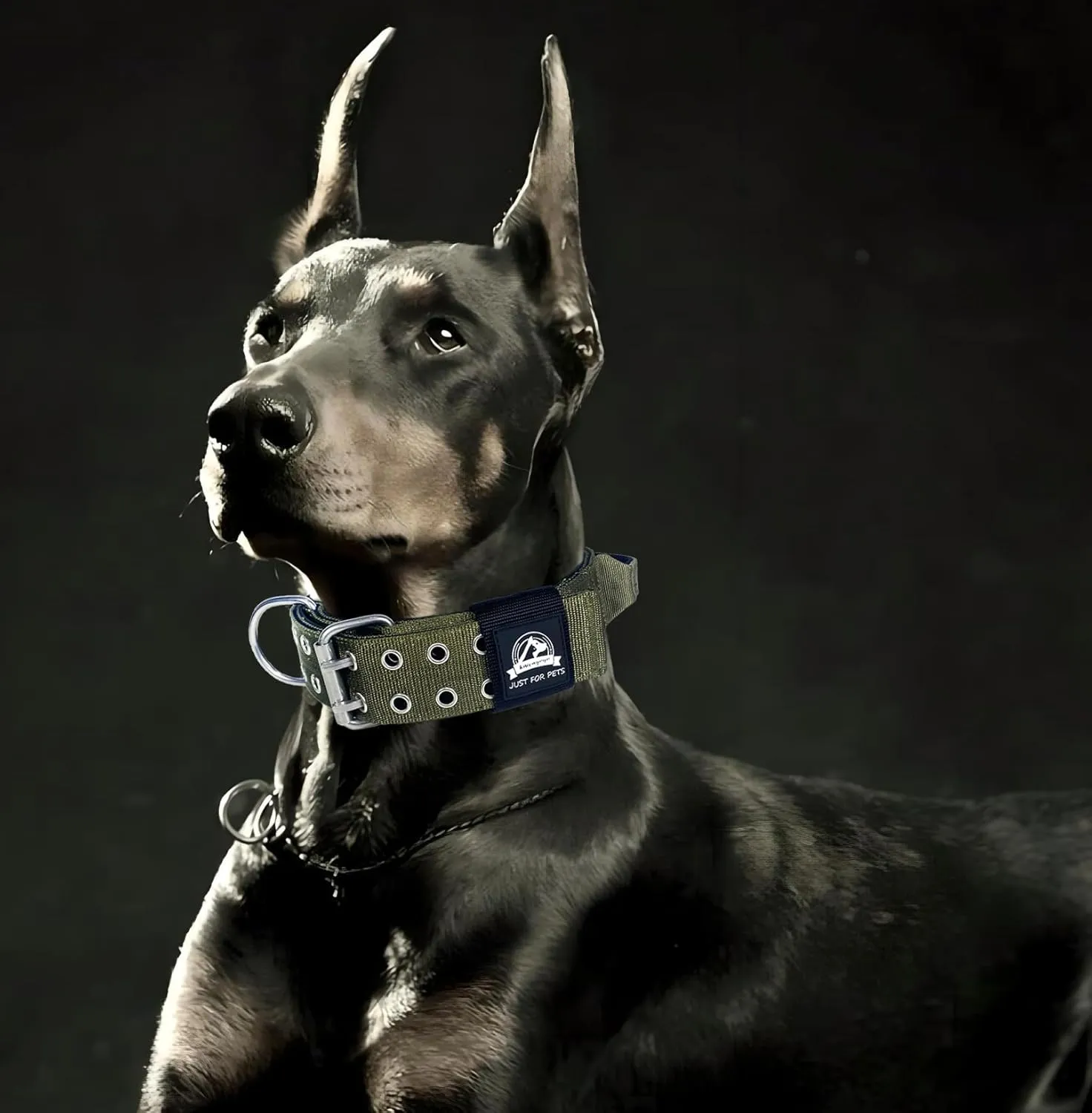 Heavy Duty Dog Collar for Large Dogs, Tactical Military Training Dog Collar for Extra Large Breeds,Strong and Durable ，German Sherd Pitbull (21IN-27IN, Black)