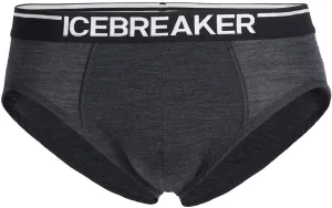 Icebreaker Merino Men's Anatomica Underwear-Briefs