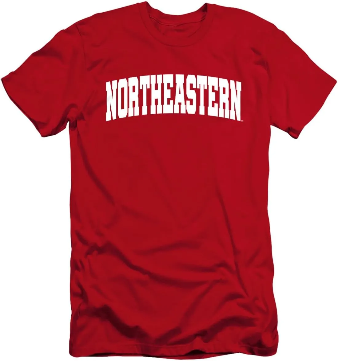 LOGOVISION Northeastern University School Name Arch Unisex Adult Canvas Brand T Shirt