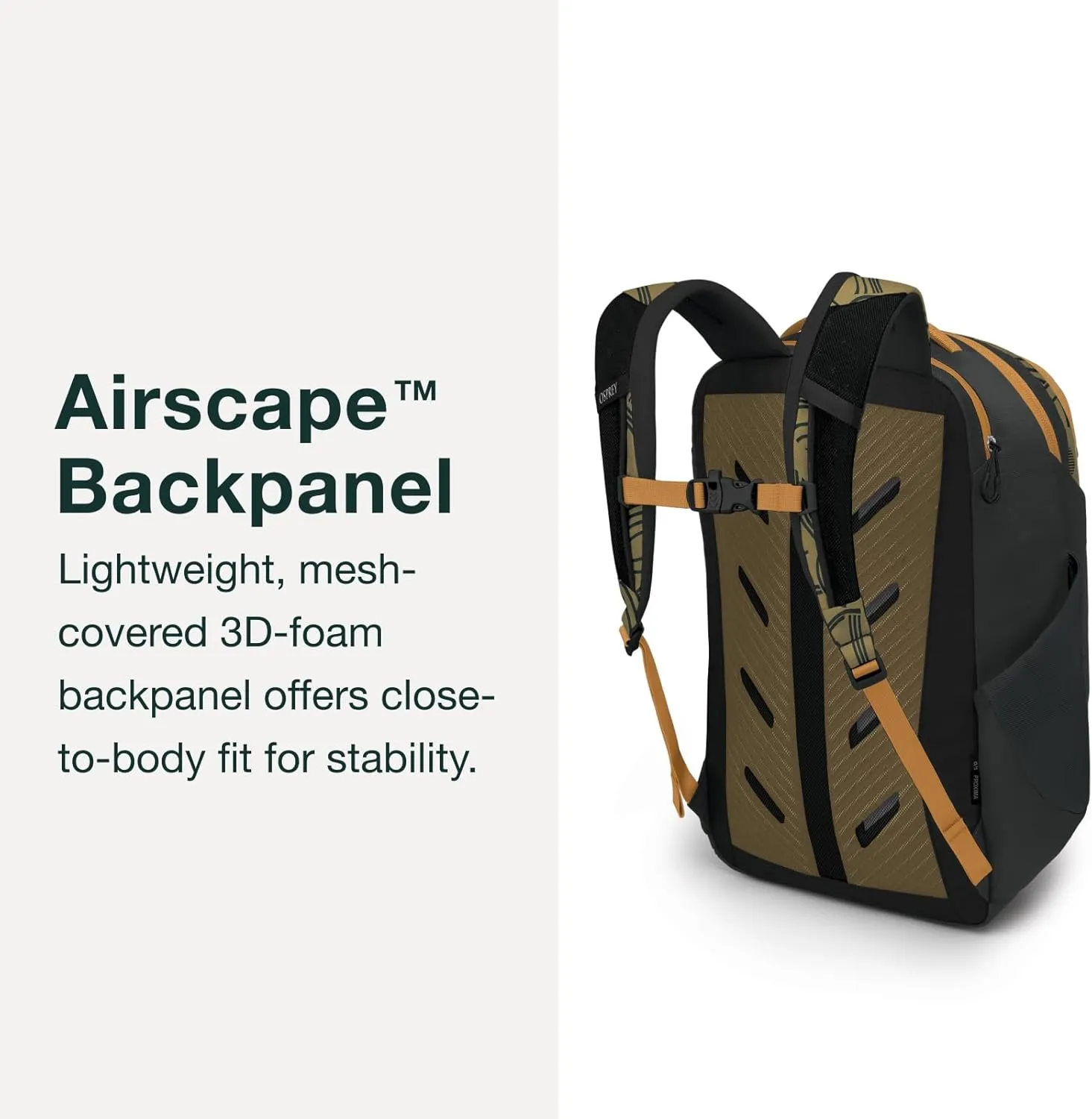 Osprey Proxima 30L Campus Laptop Backpack, Black/Coal Grey
