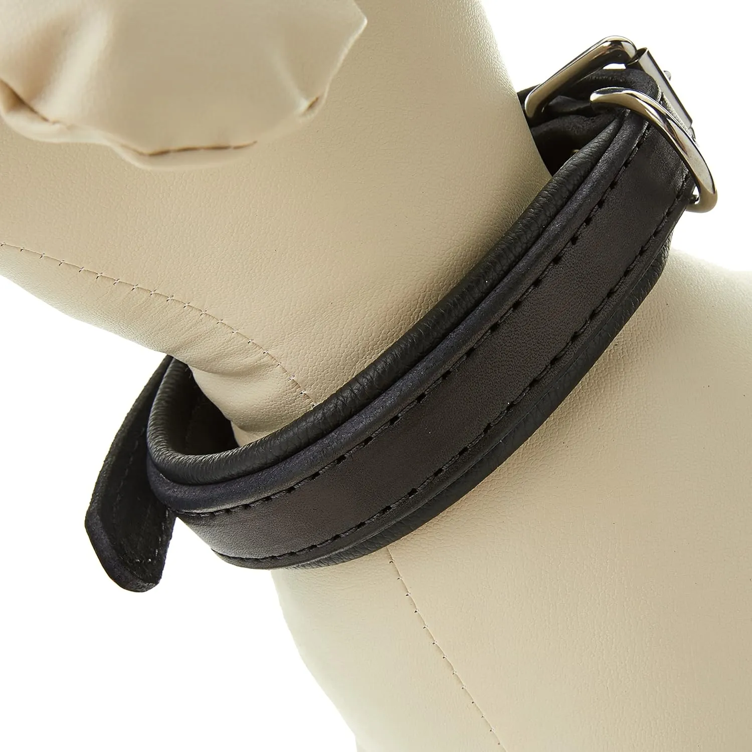 Perri's Padded Leather Dog Collars in Metallic and Bold Non-Metallic Colors