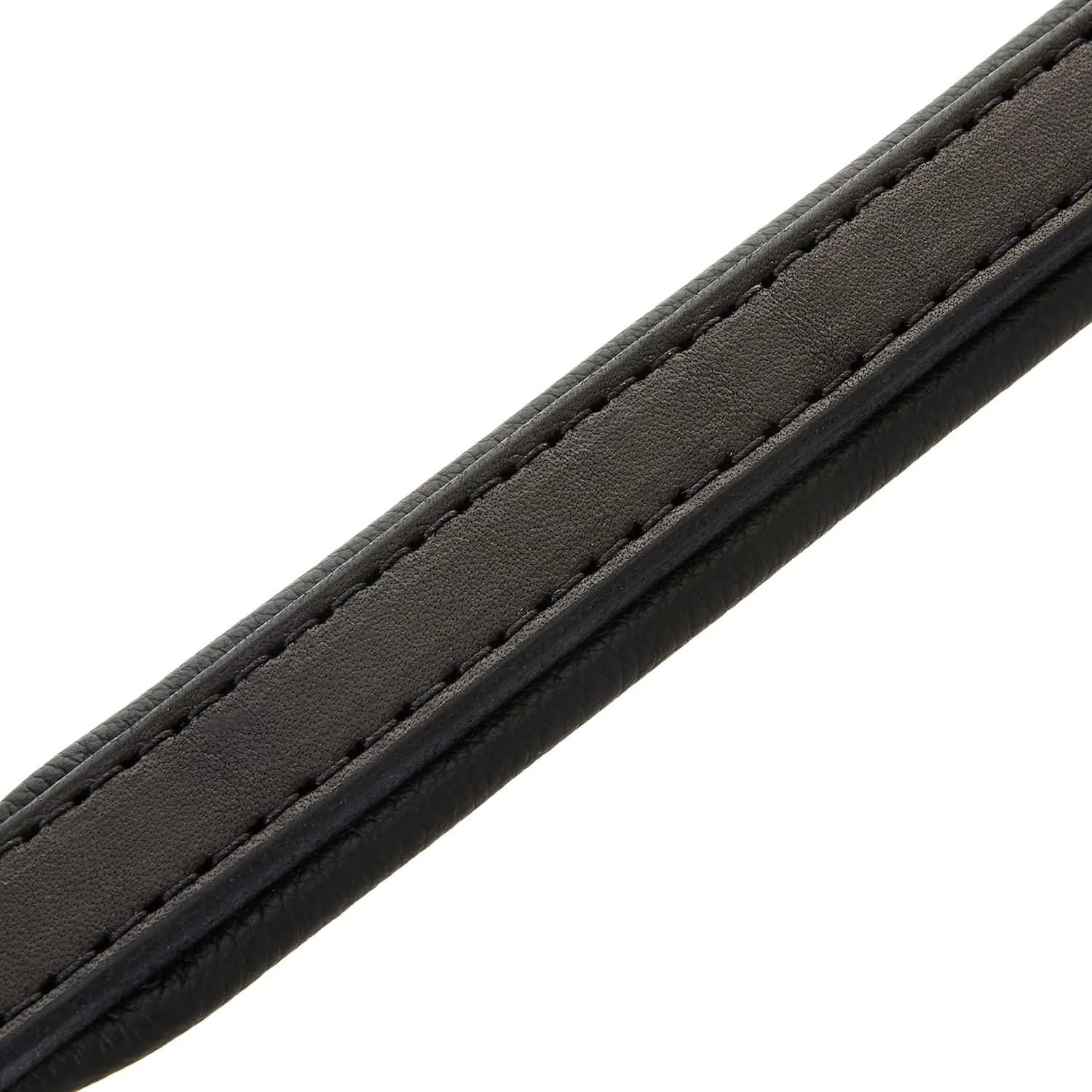 Perri's Padded Leather Dog Collars in Metallic and Bold Non-Metallic Colors