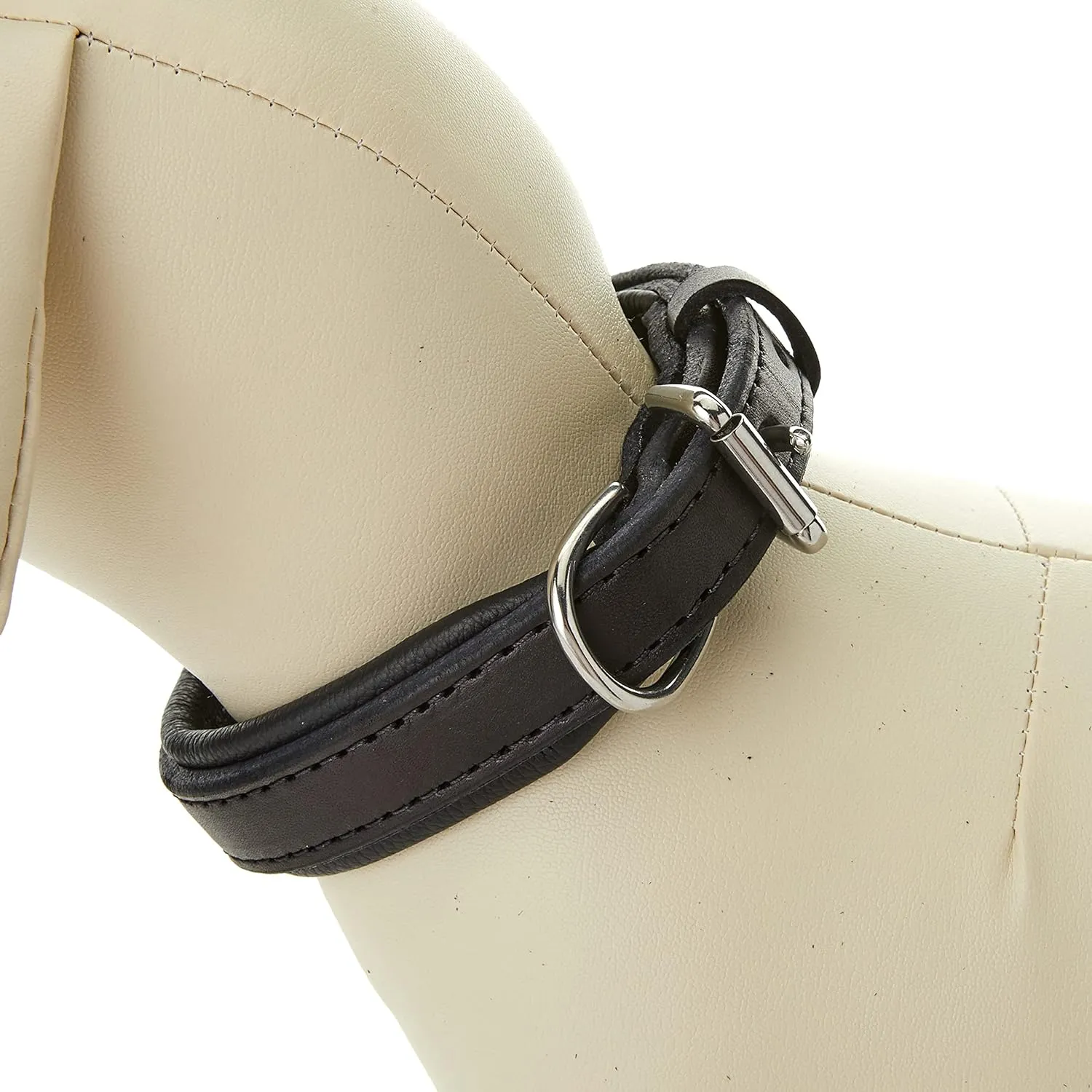 Perri's Padded Leather Dog Collars in Metallic and Bold Non-Metallic Colors