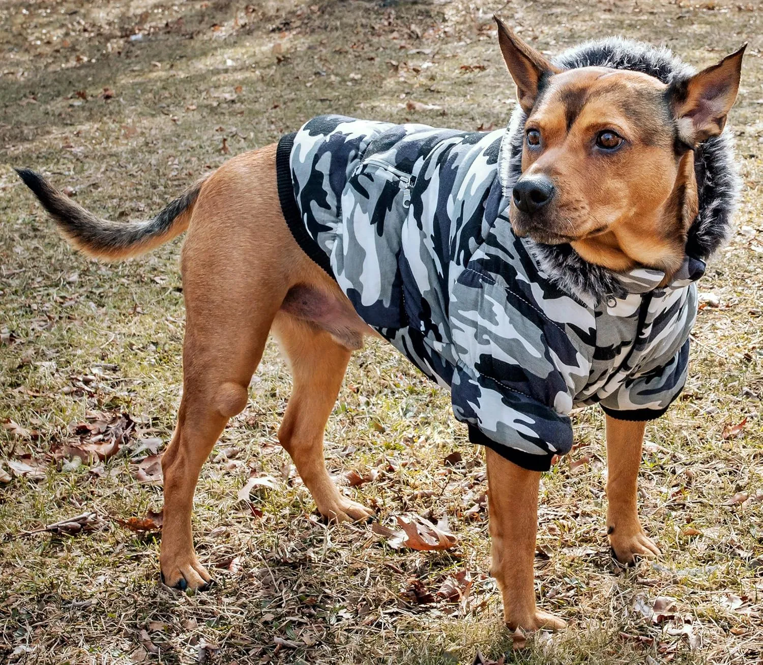 PET LIFE Classic Metallic Fashion Pet Dog Coat Jacket Parka w/ 3M Insulation and Removable Hood, Small, Deer Pattern