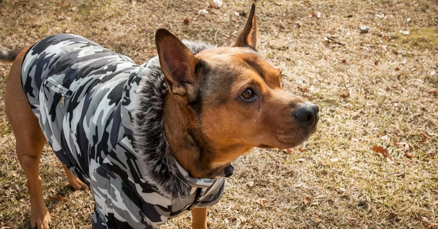 PET LIFE Classic Metallic Fashion Pet Dog Coat Jacket Parka w/ 3M Insulation and Removable Hood, Small, Deer Pattern