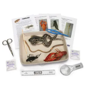Young Scientist's Animal Dissection Kit – Hands-On Introduction To Animal Anatomy | Ideal For Middle And High School Students