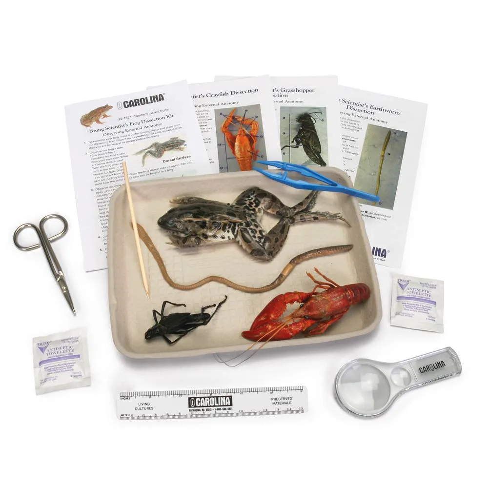 Young Scientist's Animal Dissection Kit – Hands-On Introduction To Animal Anatomy | Ideal For Middle And High School Students